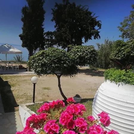 Lejlighed Porto Almira Beachfront Nikiti (Sithonia)